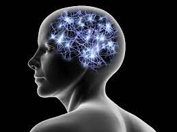 Neural Networks: A Journey into Artificial Intelligence